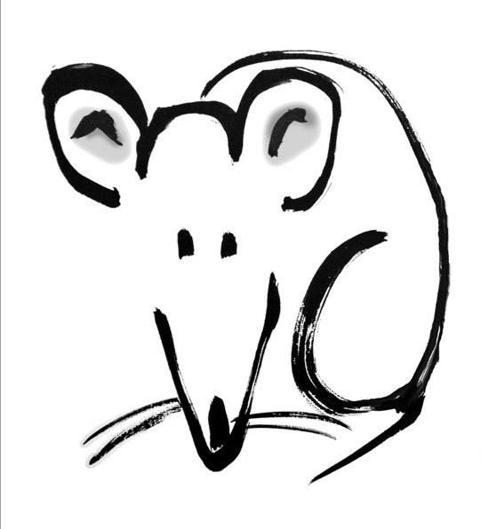 Animals of the Chinese Zodiac - class by Michael D. Hofmann